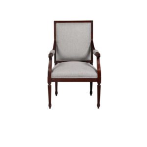 Modern Rosewood Accent Chair with Jacquard Upholstery